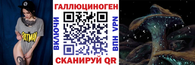 как найти Алдан Галлюциногенные грибы прущие грибы