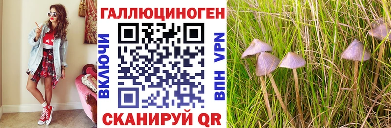 Галлюциногенные грибы GOLDEN TEACHER Алдан